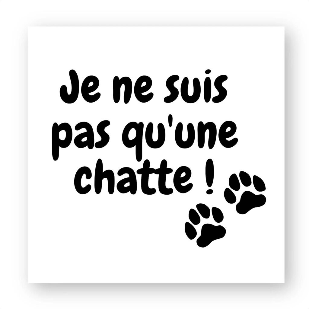 Sticker découpe carré pack de 5 - Je ne suis pas qu'une chatte